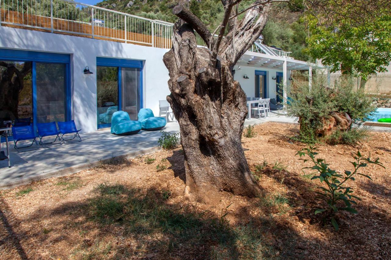 Galini Villas Μικρός Γιαλός Εξωτερικό φωτογραφία